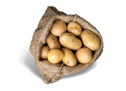 Zemiaky neskoré žlté prané voľné 1 kg