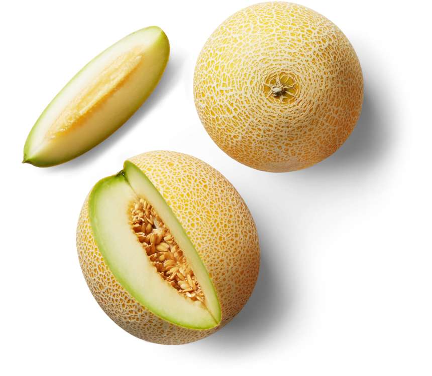 Akcia na Melón Gália za 0,79 €, Čerstvé ovocie a zelenina, Kvety v Kaufland Jubeo.sk