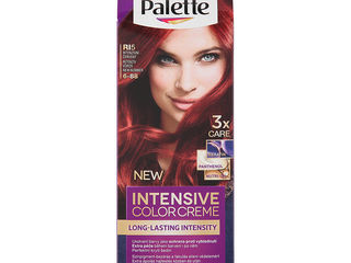Palette ICC