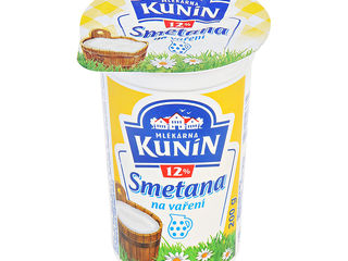 Kunín