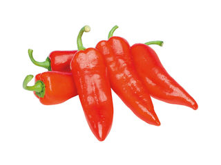Červená paprika špicatá