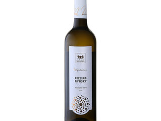 Movino Inšpirácia
