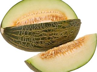 Melón Piel de Sapo