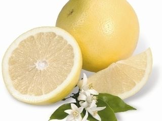 Grapefruit biely