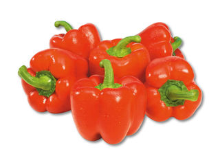 Červená paprika