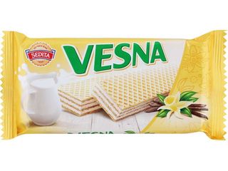 Vesna