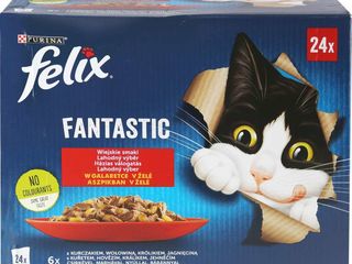 Felix