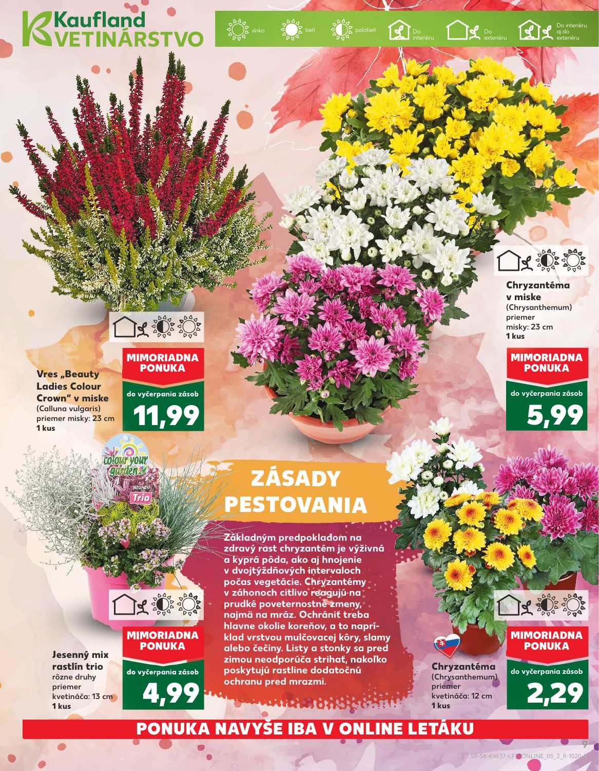 Kaufland